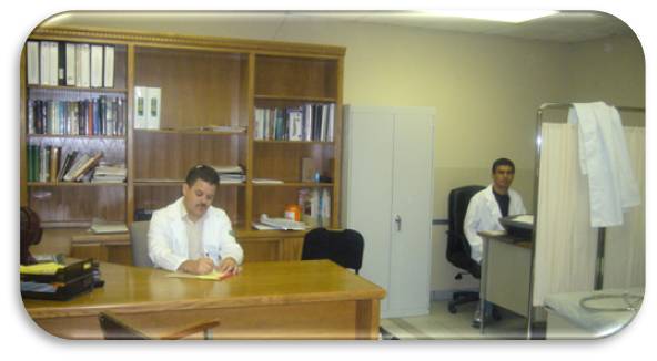 bio-ingenieria