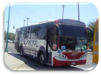 bus