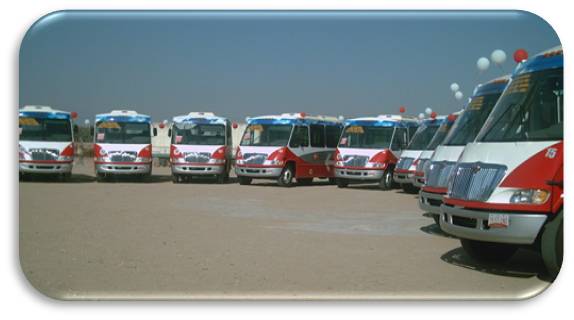 busses